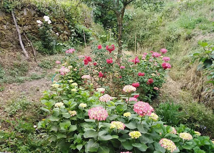 Il Ghiro